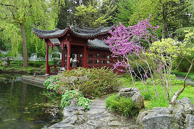 Hortus Botanicus Haren - Groningen - Coöperatie Sterke Musea Groningen U.A.